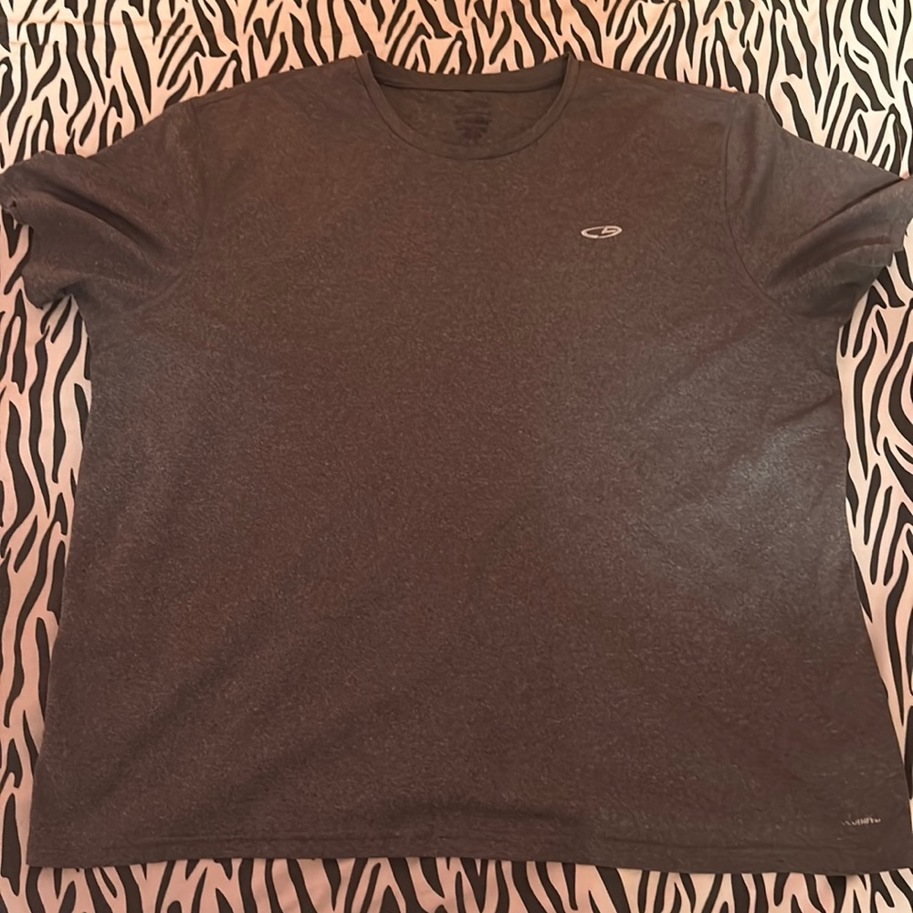 gray men’s shirt, champion